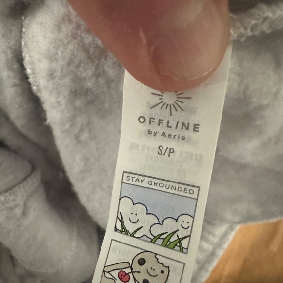 OFFLINE by Aerie Cloud Fleece Baggy Jogger Grey Color size small - Picture 7 of 7